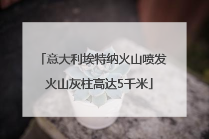 意大利埃特纳火山喷发 火山灰柱高达5千米