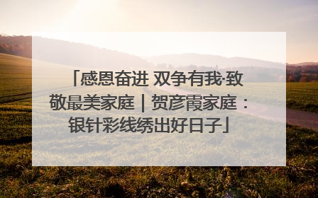 感恩奋进 双争有我·致敬最美家庭｜贺彦霞家庭：银针彩线绣出好日子