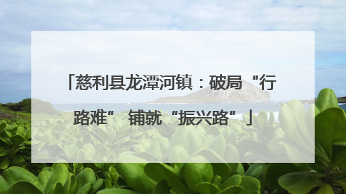 慈利县龙潭河镇：破局“行路难” 铺就“振兴路”