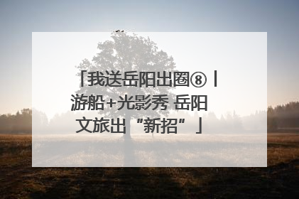 我送岳阳出圈⑧丨游船+光影秀 岳阳文旅出“新招”