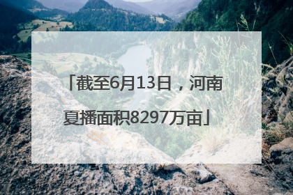 截至6月13日，河南夏播面积8297万亩