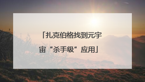 扎克伯格找到元宇宙“杀手级”应用