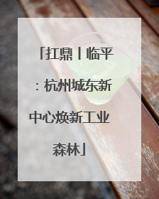 扛鼎丨临平：杭州城东新中心焕新工业森林