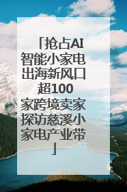 抢占AI智能小家电出海新风口 超100家跨境卖家探访慈溪小家电产业带