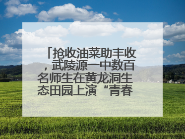 抢收油菜助丰收，武陵源一中数百名师生在黄龙洞生态田园上演“青春助农记”