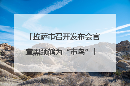 拉萨市召开发布会官宣黑颈鹤为“市鸟”