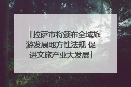拉萨市将颁布全域旅游发展地方性法规 促进文旅产业大发展