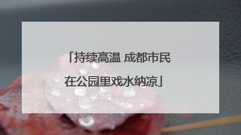 持续高温 成都市民在公园里戏水纳凉