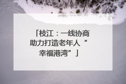 枝江：一线协商助力打造老年人“幸福港湾”