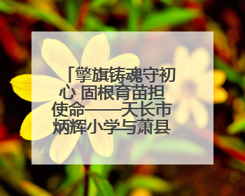 擎旗铸魂守初心 固根育苗担使命——天长市炳辉小学与萧县师范学校附属小学结对共建活动纪实