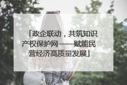 政企联动，共筑知识产权保护网——赋能民营经济高质量发展