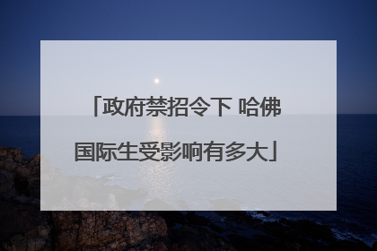 政府禁招令下 哈佛国际生受影响有多大