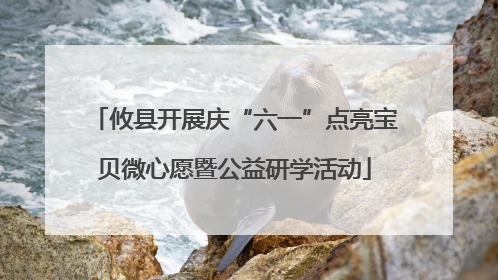 攸县开展庆“六一”点亮宝贝微心愿暨公益研学活动