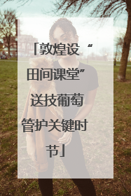 敦煌设“田间课堂” 送技葡萄管护关键时节