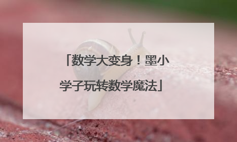 数学大变身！墨小学子玩转数学魔法