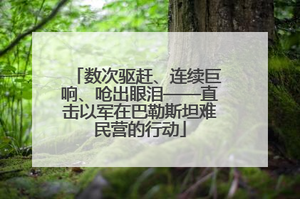 数次驱赶、连续巨响、呛出眼泪——直击以军在巴勒斯坦难民营的行动
