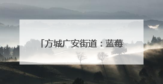 方城广安街道：蓝莓结出 “致富果” 绘就乡村振兴新图景