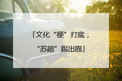 文化“梗”打底，“苏超”踢出圈