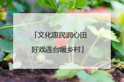 文化惠民润心田 好戏连台暖乡村