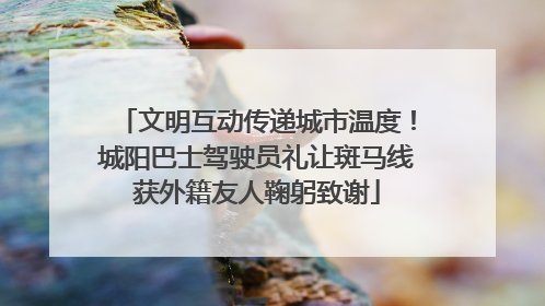 文明互动传递城市温度！城阳巴士驾驶员礼让斑马线获外籍友人鞠躬致谢