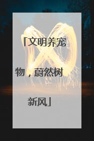 文明养宠物,蔚然树新风
