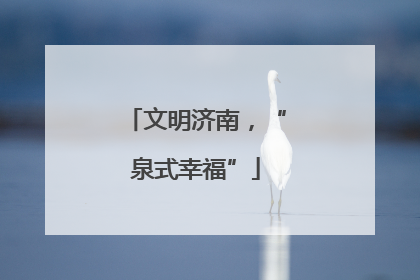 文明济南，“泉式幸福”
