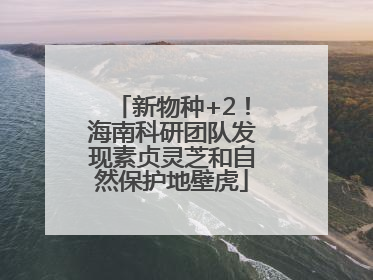 新物种+2！海南科研团队发现素贞灵芝和自然保护地壁虎
