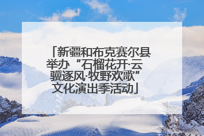 新疆和布克赛尔县举办“石榴花开·云骥逐风·牧野欢歌”文化演出季活动