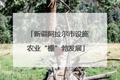 新疆阿拉尔市设施农业“棚”勃发展
