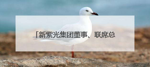 新紫光集团董事、联席总裁陈杰：我国有移动互联网时代的成功经验，最有能力做好AI应用创新