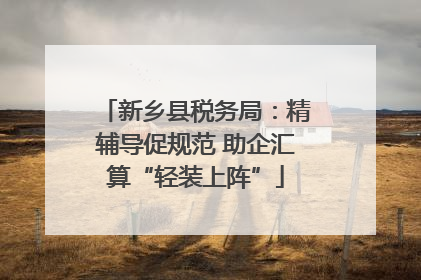 新乡县税务局：精辅导促规范 助企汇算“轻装上阵”