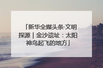 新华全媒头条·文明探源｜金沙遗址：太阳神鸟起飞的地方