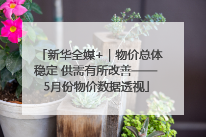 新华全媒+｜物价总体稳定 供需有所改善——5月份物价数据透视