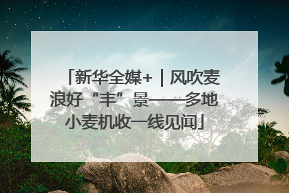 新华全媒+｜风吹麦浪好“丰”景——多地小麦机收一线见闻