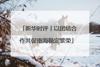 新华时评丨以团结合作共促南海稳定繁荣