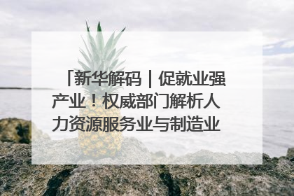 新华解码｜促就业强产业！权威部门解析人力资源服务业与制造业融合发展试点