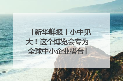 新华鲜报丨小中见大！这个博览会专为全球中小企业搭台
