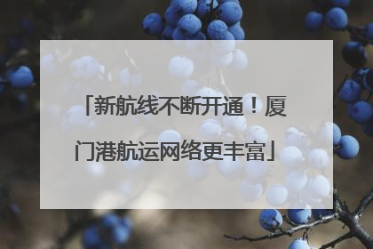 新航线不断开通！厦门港航运网络更丰富