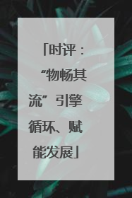 时评：“物畅其流”引擎循环、赋能发展