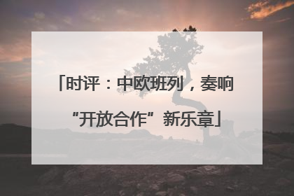 时评：中欧班列，奏响“开放合作”新乐章