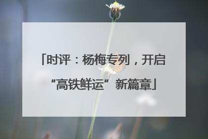时评：杨梅专列，开启“高铁鲜运”新篇章