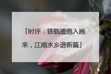 时评：铁轨逶迤入画来，江南水乡谱新篇
