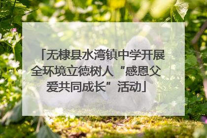 无棣县水湾镇中学开展全环境立德树人“感恩父爱共同成长”活动