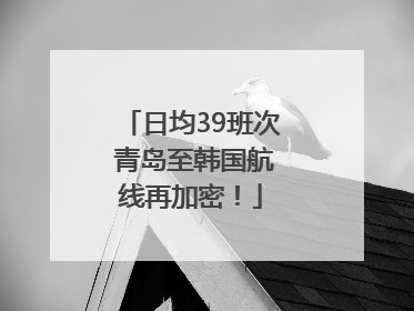 日均39班次 青岛至韩国航线再加密！