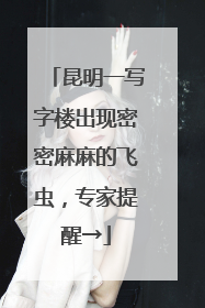 昆明一写字楼出现密密麻麻的飞虫，专家提醒→