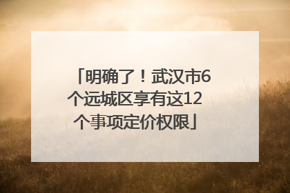 明确了！武汉市6个远城区享有这12个事项定价权限