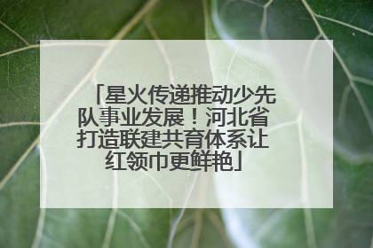 星火传递推动少先队事业发展！河北省打造联建共育体系让红领巾更鲜艳