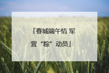 春城端午情 军营“粽”动员