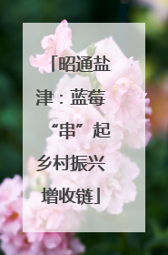 昭通盐津：蓝莓“串”起乡村振兴增收链
