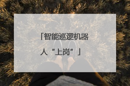 智能巡逻机器人“上岗”